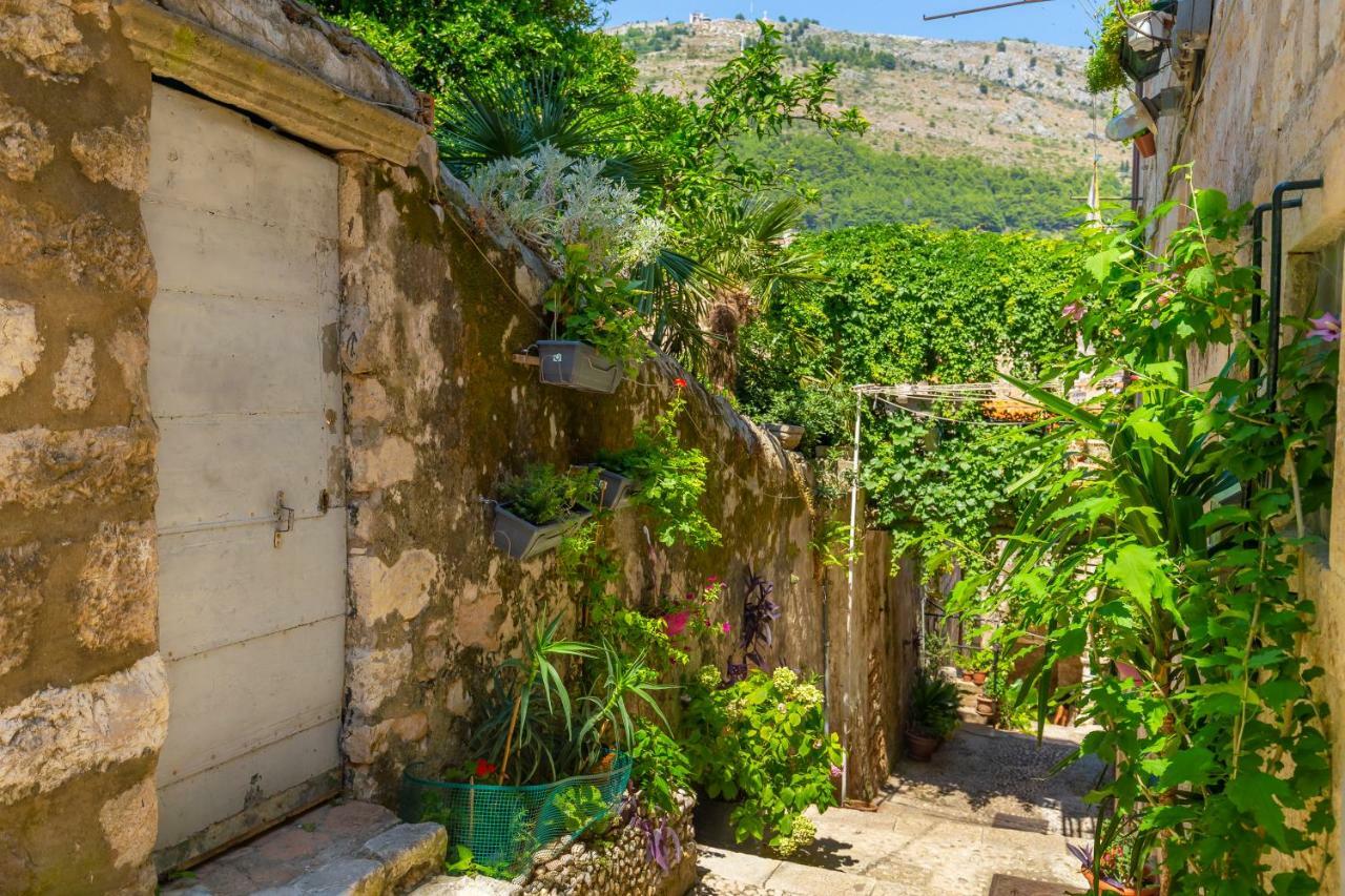 Villa Old Town House With Floor Heating & Lush Private Garden Dubrovnik Exterior foto